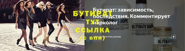 стаф Магас