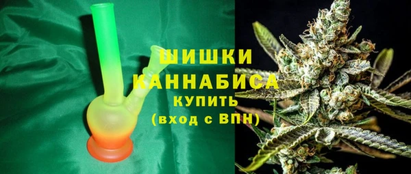 стаф Магас