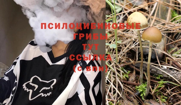 стаф Магас