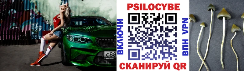 Псилоцибиновые грибы GOLDEN TEACHER Сыктывкар