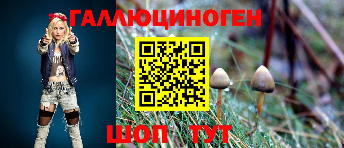 Галлюциногенные грибы Magic Shrooms  Сыктывкар  Псилоцибиновые грибы Cubensis 