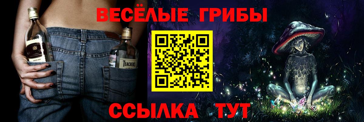 Псилоцибиновые грибы мицелий Сыктывкар